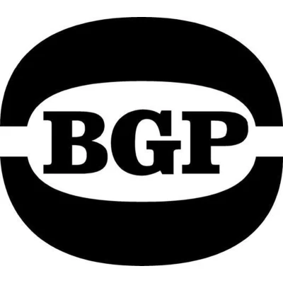 Afbeelding van Phillips Brothers I Got Hurt (Single)