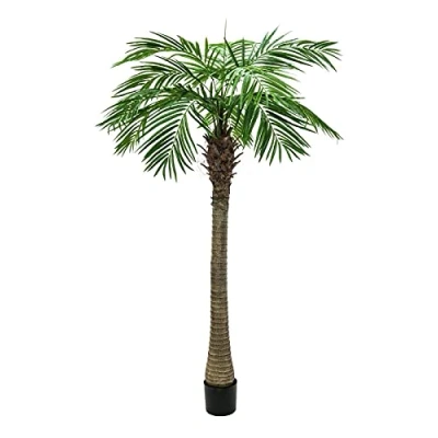 Afbeelding van Europalms Kunstpalmboom Phoenix palmboom luxor 150cm