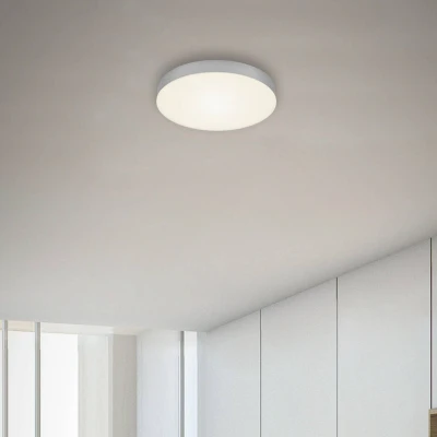 Afbeelding van Flame LED plafondlamp, Ø 21,2 cm, zilver