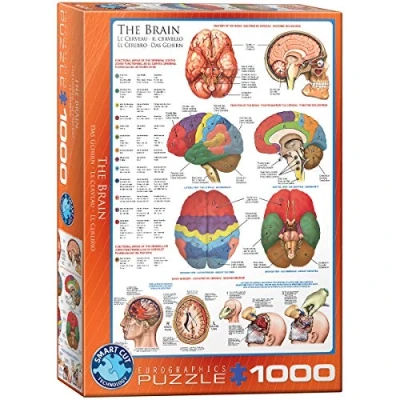 Afbeelding van The Brain Puzzel (1000)