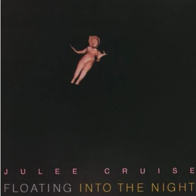 Afbeelding van Floating Into The Night