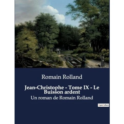 Afbeelding van Jean Christophe Tome IX Le Buisson ardent
