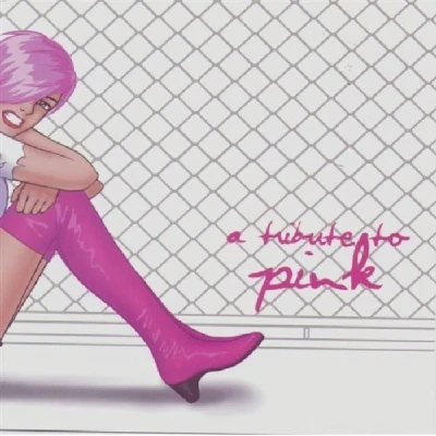 Afbeelding van Various Artists Tribute To Pink (CD)