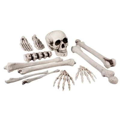 Image de Set tête de mort 12 pièces