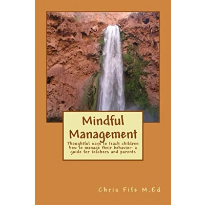 Afbeelding van Mindful Management