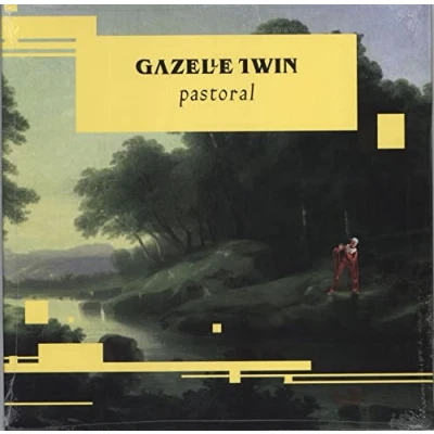 Afbeelding van Gazelle Twin Pastoral (LP)