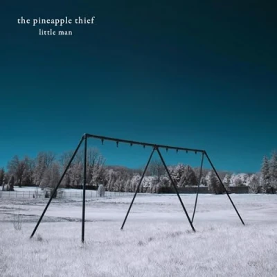 Afbeelding van Pineapple Thief Little Man (LP)