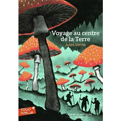 Afbeelding van Voyage au centre de la terre
