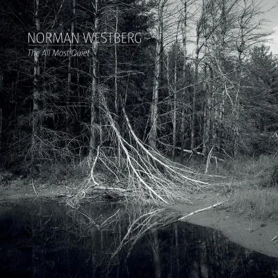 Afbeelding van Norman Westberg The All Most Quiet (LP)
