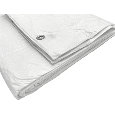 Afbeelding van SKIR&#039;CO afdekzeil, wit, 3 x m, waterdicht, 55 g/m², met oogjes, autozeil, multifunctioneel zeil