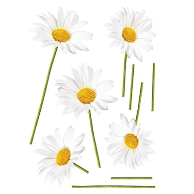 Image de MARGUERITES Stickers muraux 2 planches 21x29.7cm