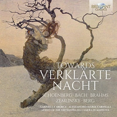 Afbeelding van Gabriella Sborgi Schoenberg: Towards Verklärte Nacht (CD)