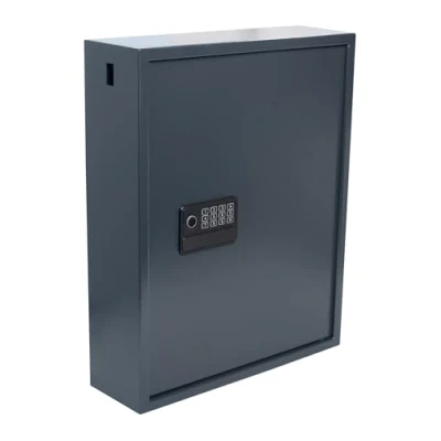 Afbeelding van Sleutelkast Pavo High Security Advanced 100 Haken