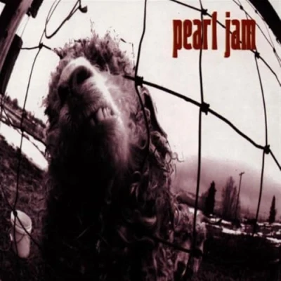 Afbeelding van Pearl Jam Vs.