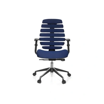 Afbeelding van Ergonomische bureaustoel 101 model Ruggengraatstoel in Blauw