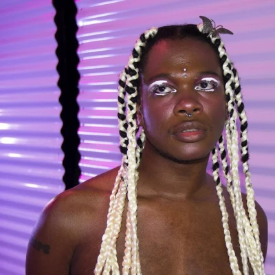 Afbeelding van Shamir Homo Anxietatem (LP)