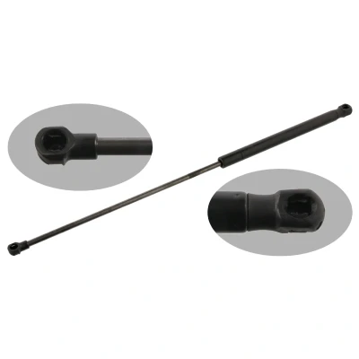 Afbeelding van Febi Bilstein Gasveer 34446