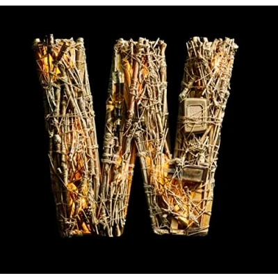 Afbeelding van Wellbad Bad Habits (CD)