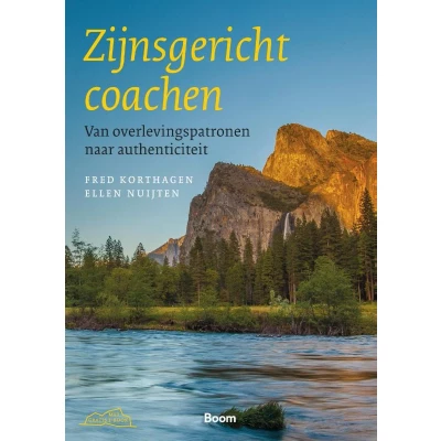 Afbeelding van Zijnsgericht coachen