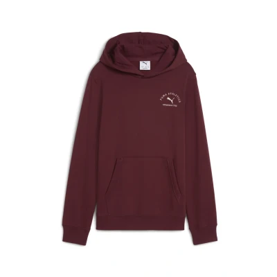 Afbeelding van Puma Hoodie voor kinderen, Maat: 176, Ruby shimmer