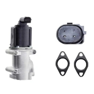 Afbeelding van HELLA 6NU 014 864 521 EGR klep Electrisch Met pakkingen FIAT: Doblo I Cargo, Punto II Hatchback, LANCIA: Musa