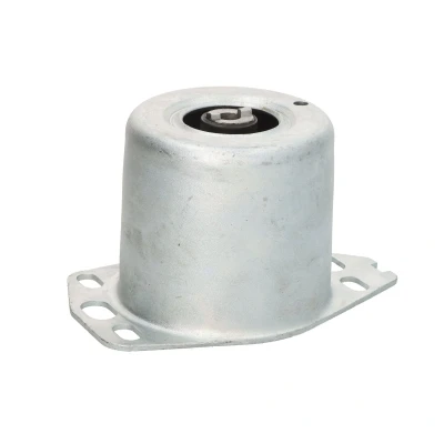 Afbeelding van SASIC 9002421 Houder, motorophanging Rubbermetaallager rechts boven