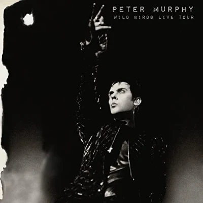 Afbeelding van Peter Murphy Wild Birds Live Tour (2 CD)