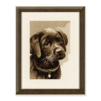Afbeelding van Labrador pup borduren (pakket)