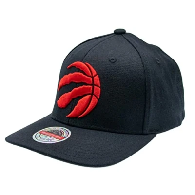 Afbeelding van Mitchell &amp; Ness NBA Toronto Raptors Pet, Maat: One Size, Black