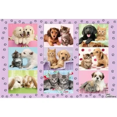 Image de Puzzle Schmidt Mes amis les animaux, 100 pièces