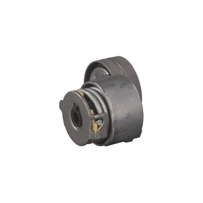 Afbeelding van Febi Bilstein Spanner poly V riem 32581