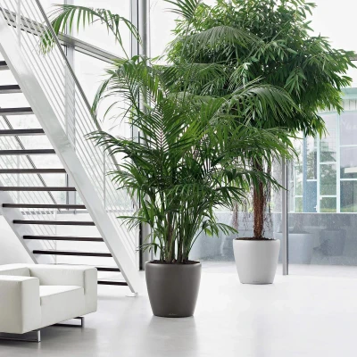 Afbeelding van Lechuza Classico premium 60 Antraciet metallic