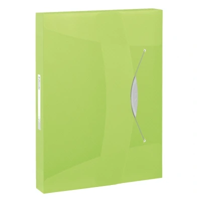 Image de Esselte 6240 Vivida boîte de classement transparente 40 mm (380 feuilles) vert