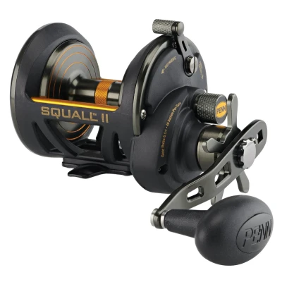 Afbeelding van PENN Squall II Star Drag 30 Reel