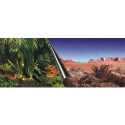 Afbeelding van Aqua Della Aquariumdecoratie Vissen Poster Achterwand Jungle &amp; Desert 60x30cm 1st