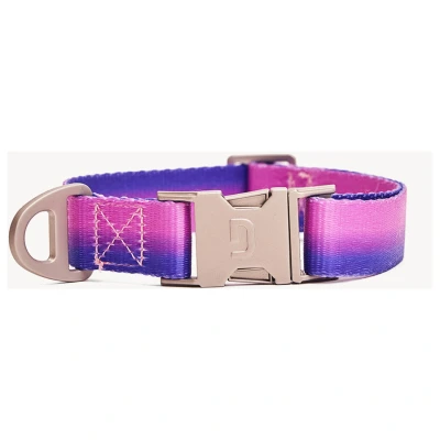 Afbeelding van Dogguo Gradient Collar Paars&amp;Roze Hondenhalsband S Kleine Honden