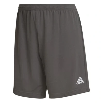 Afbeelding van adidas Performance Entrada 22 Short Dames Grijs XS