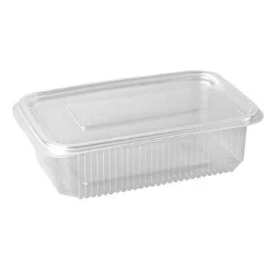 Afbeelding van Folding trays with Fixed Lid Salad containers + 750cc PP Rectangle Transparent 52 x 130 190mm