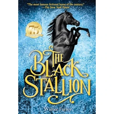 Afbeelding van Black Stallion