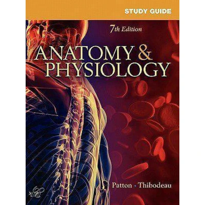 Afbeelding van Study Guide For Anatomy And Physiology