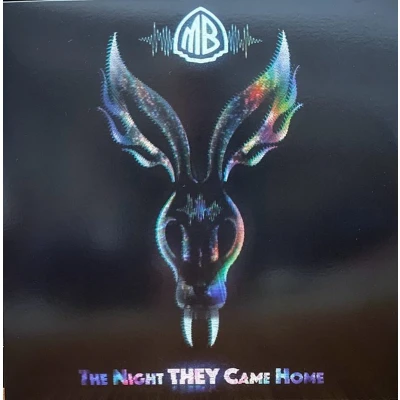 Afbeelding van Mr. Bungle The Night They Came Home (2 LP) (Limited Edition) (Coloured Vinyl)