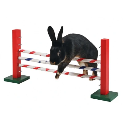 Afbeelding van Kerbl Agility Hoogtesprong voor Knaagdieren 70x5x35cm