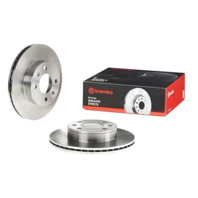 Image de 2 disques de frein brembo 09.9503.10