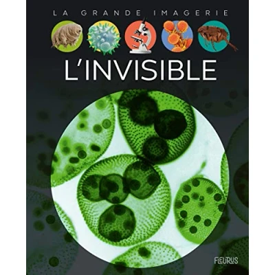 Afbeelding van Invisible(l&#039;)