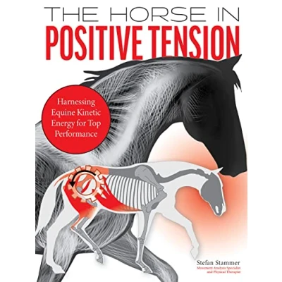 Afbeelding van The Horse in Positive Tension