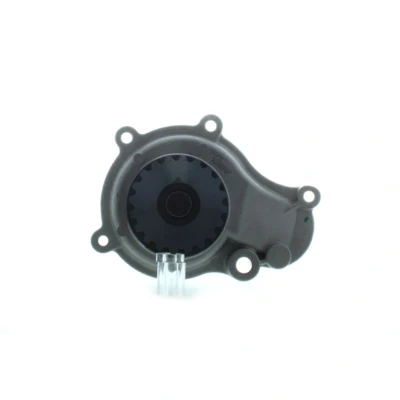 Afbeelding van AISIN WPA 009 Waterpomp CHRYSLER: PT Cruiser Estate, JEEP: WRANGLER 2