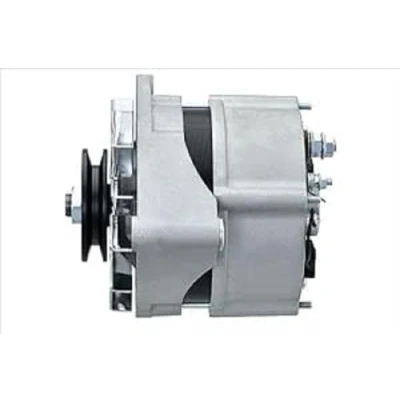 Afbeelding van HELLA 8EL 015 643 101 Dynamo / Alternator 14V 65A