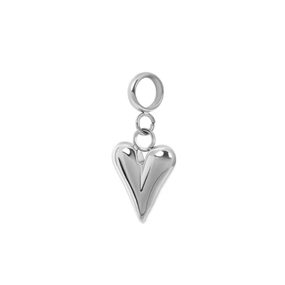 Afbeelding van Bedel Wild Heart iXXXi Connect Zilver