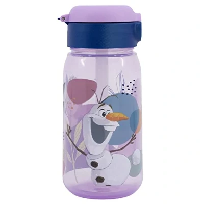 Afbeelding van Stor BOUTEILLE RÉUTILISABLE ACTIVE DE 510 ML FROZEN TRUST THE JOURNEY