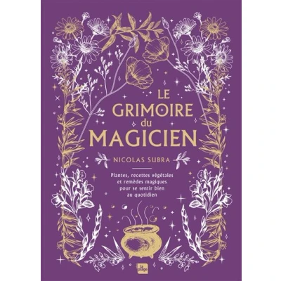 Image de Le grimoire du magicien
